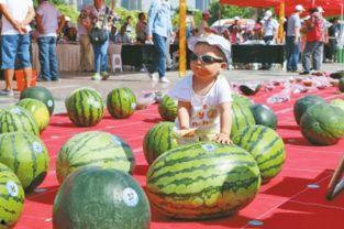 黑料社 吃瓜网每日大赛,揭秘娱乐圈每日大赛幕后真相