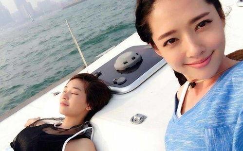 网红黑料爆料网,网络舆论背后的真相与反思